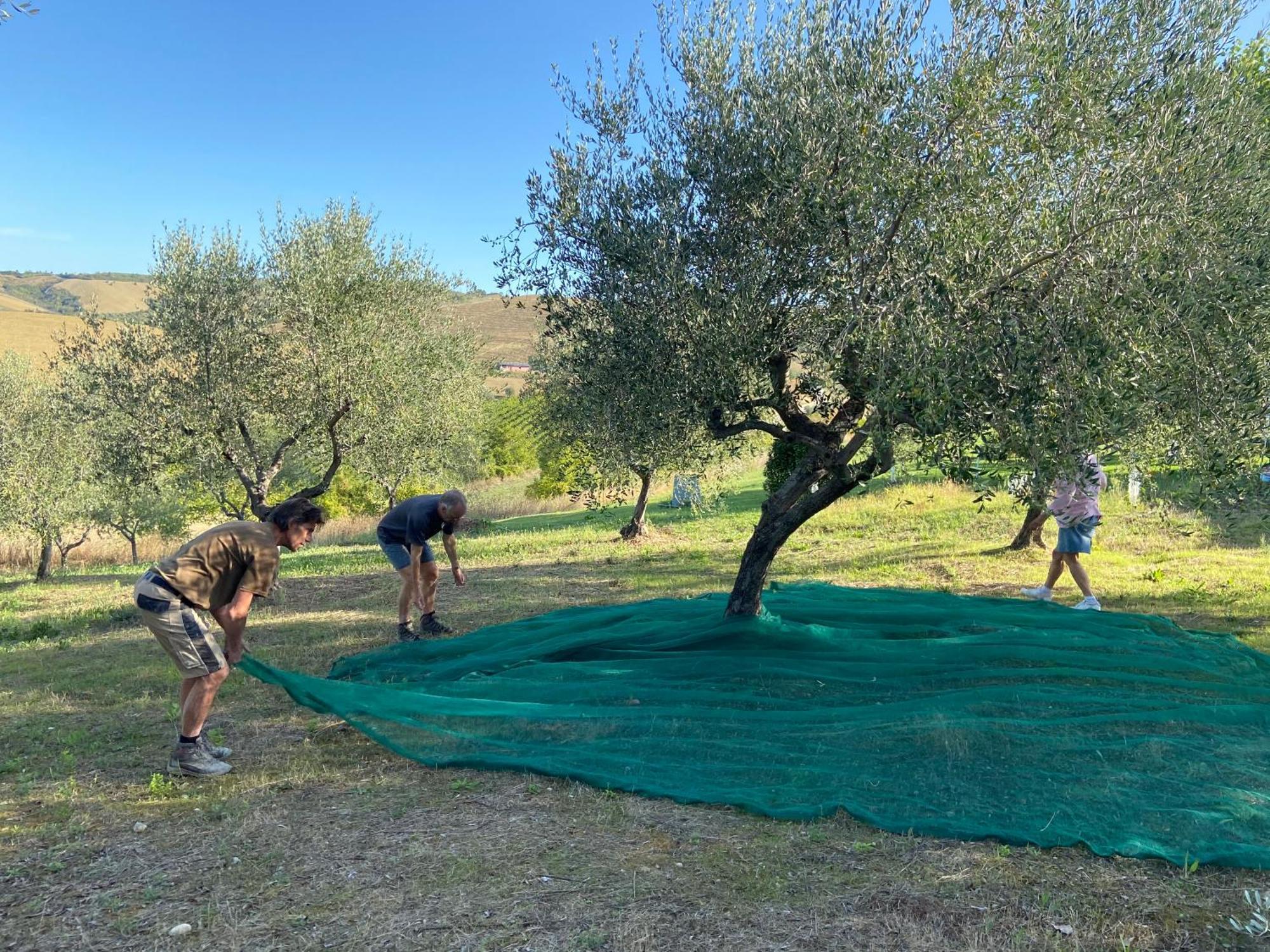Bed And Adventure Tramontana Resort - Camera Vista Castilenti 외부 사진